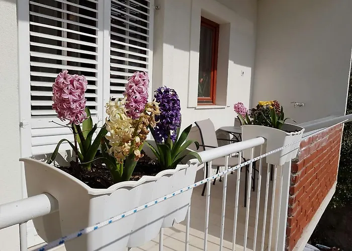 Apartment Vice Mali