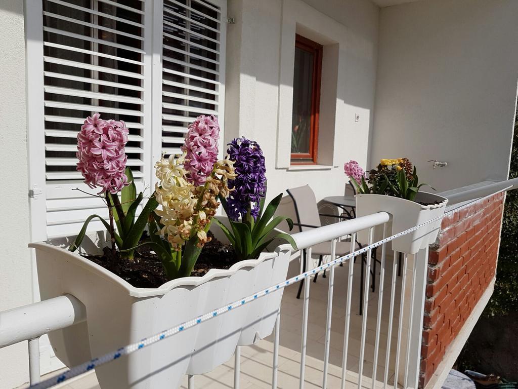 Vice Mali Apartma